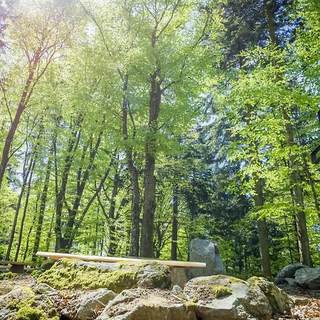 Geyersberg Inklusive Aktivcard Bayerischer Wald 3*