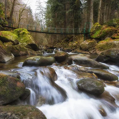 Geyersberg Inklusive Aktivcard Bayerischer Wald Resort