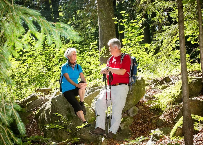 Resort Geyersberg Inklusive Aktivcard Bayerischer Wald