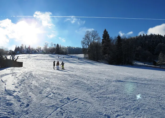 Resort Geyersberg Inklusive Aktivcard Bayerischer Wald 3*