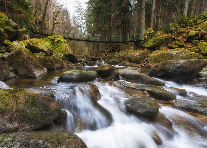 Geyersberg Inklusive Aktivcard Bayerischer Wald Resort
